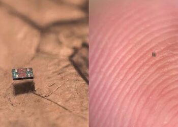 বালুকণার চেয়েও ছোট যে রোবট